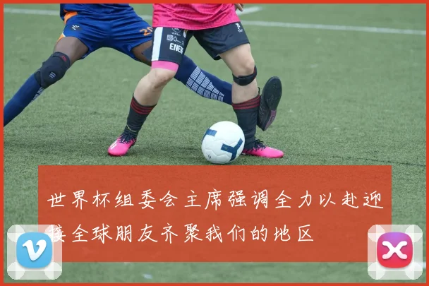 世界杯组委会主席强调全力以赴迎接全球朋友齐聚我们的地区