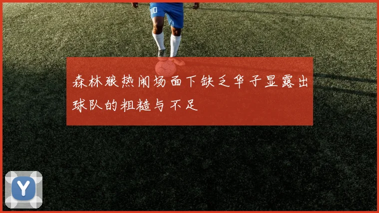 森林狼热闹场面下缺乏华子显露出球队的粗糙与不足