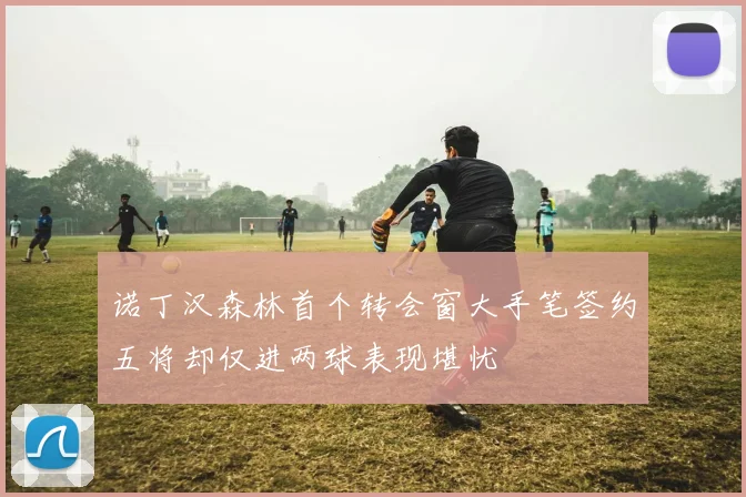 诺丁汉森林首个转会窗大手笔签约五将却仅进两球表现堪忧